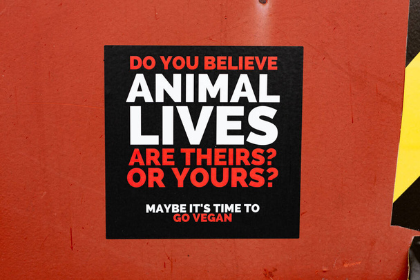 A sticker asking whether its time to go vegan which has been placed in a public area by an activist - Photo, image