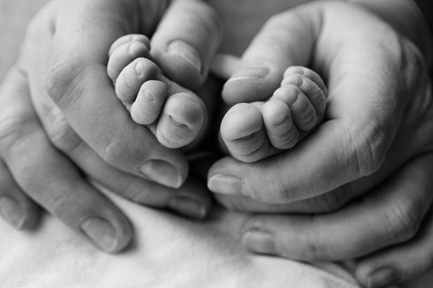 Bacaklar, ayak parmakları, ayaklar ve yeni doğmuş bir bebeğin topukları. Anne babanın elleri, baba, anne. - Fotoğraf, Görsel
