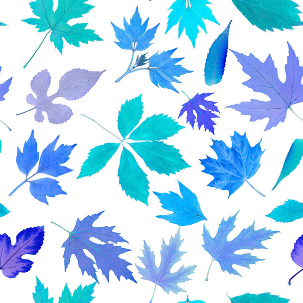 Bright seamless pattern of leaves on a white background. Green, blue, purple leaves. The leaves are real, not painted. For print and decoration. Herbarium. - Фото, изображение