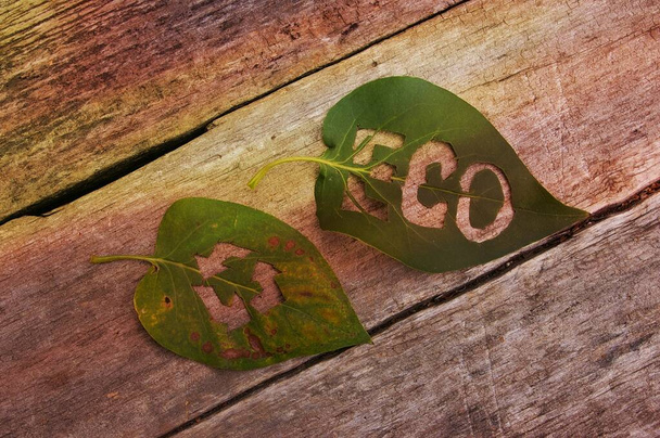 Екологічна етикетка та символ переробки на зеленому листі. Екологічні ознаки сприяють круговій економіці, заохочуючи виробників генерувати менше відходів і CO2
. - Фото, зображення