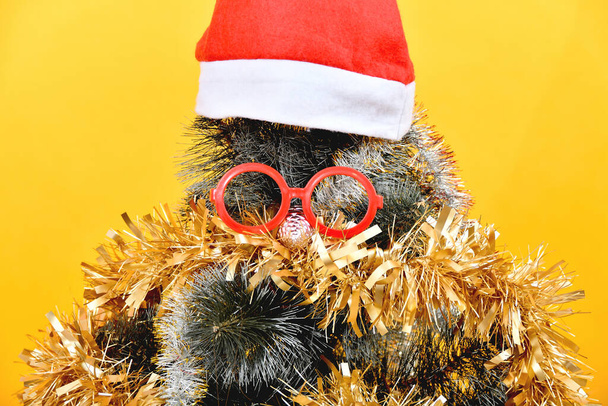 Ein Weihnachtsbaum mit roter Mütze auf dem Kopf mit roter Brille und einem Spielzeug statt einer Nase. - Foto, Bild