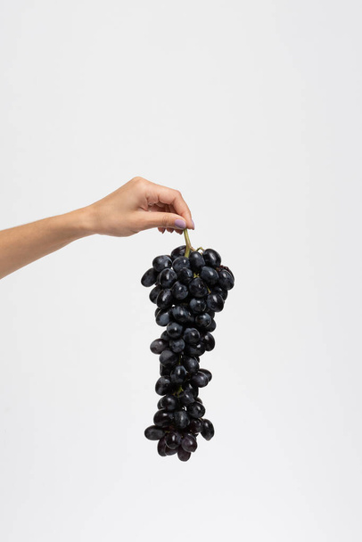 bunch of blue grapes isolate - 写真・画像