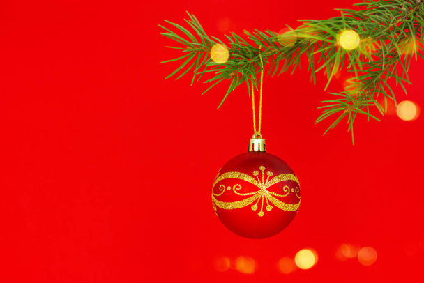 primer plano de una hermosa bola de navidad roja con adorno de oro colgando de una rama de abeto sobre un fondo rojo con espacio de copia - Foto, Imagen