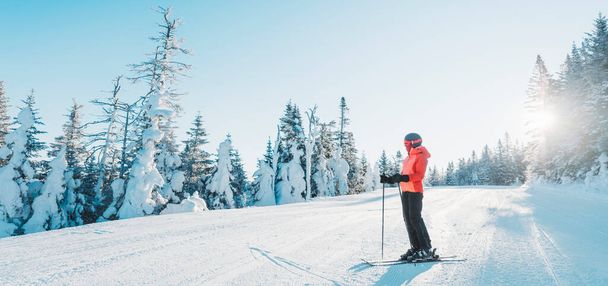 Skiing woman skier looking at mountains landscape nature outdoors standing holding skis. Alpine ski riding white powder snow slopes in cold weather on idyllic view banner. Winter sports - 写真・画像