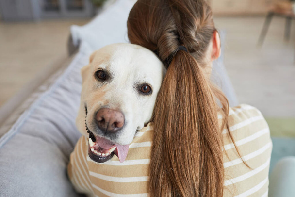 Onnellinen koira halailee ihmisen kanssa - Valokuva, kuva