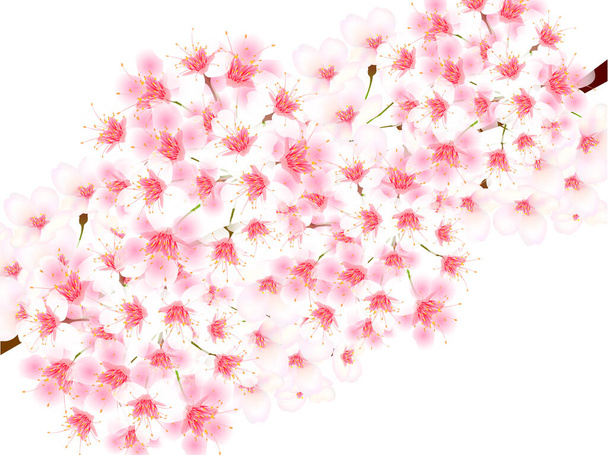 Κεράσι άνθη την άνοιξη τοπίο φόντου  - Διάνυσμα, εικόνα