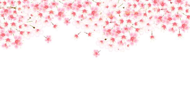 Cherry Blossoms lente landschap-achtergrond  - Vector, afbeelding