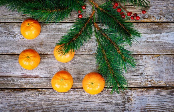 Christmas and New Year tree in a pot on tangerines of gifts. - Photo, image
