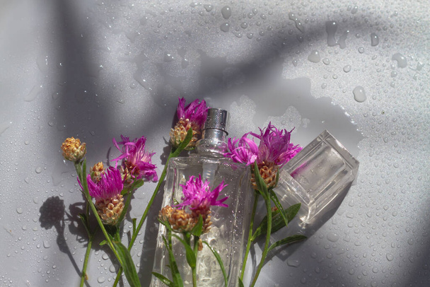 Toilet water in a spray bottle on a gray background with purple, crimson flowers. - Foto, Imagen