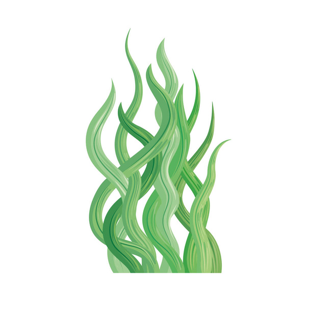 zelená příroda mořských řas - Vektor, obrázek