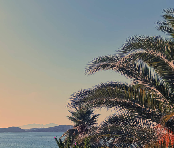 Ročník riviéra a letní cestování koncept. Moře, hory, palmy a bílé plážové deštníky jako pobřežní krajina a letní destinace - Fotografie, Obrázek