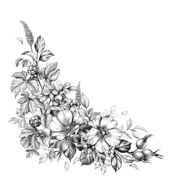 Hand drawn floral bunch with wild  flowers, berries and leaves isolated on white background. Pencil drawing monochrome elegant composition in vintage style.  - 写真・画像