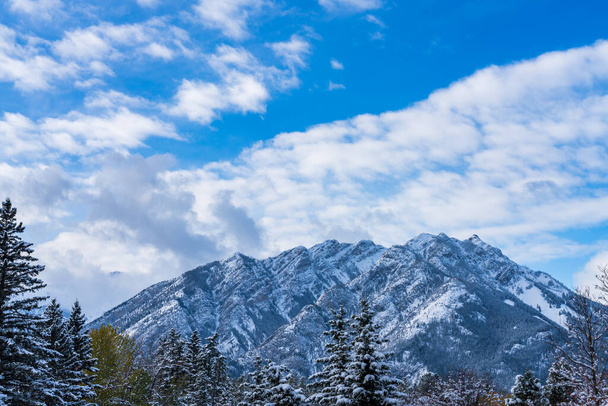 Закройте заснеженную гору Норки снежным лесом над голубым небом и белыми облаками в зимний солнечный день. Национальный парк Банф красивый пейзаж. Canadian Rockies, Альберта, Канада. - Фото, изображение