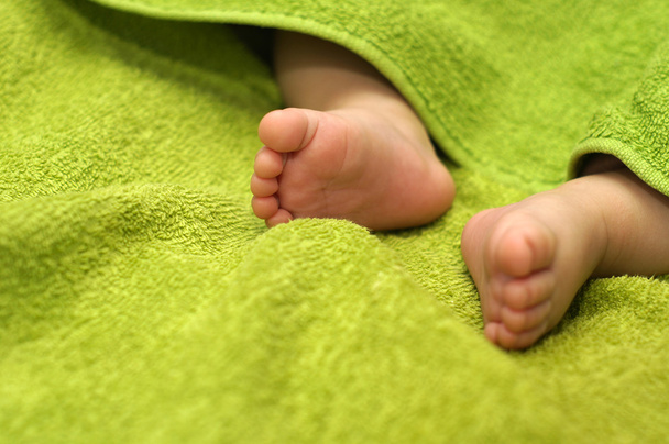 Baby Feet under blanket - Foto, Imagen