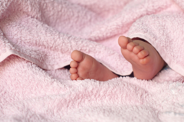 Baby Feet under blanket - Zdjęcie, obraz