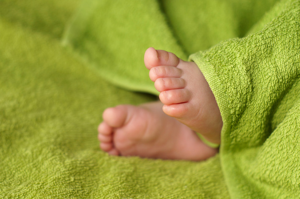 Baby Feet under blanket - 写真・画像