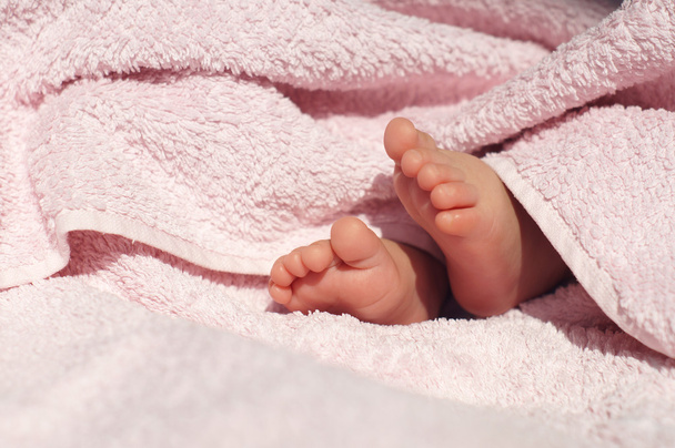 Baby Feet under blanket - 写真・画像
