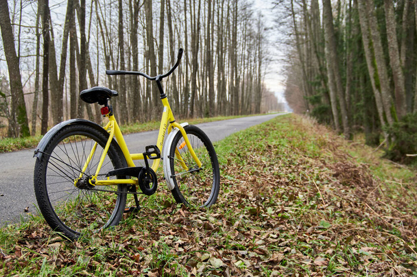 Bike line on the road in the autumn park. Yellow bike stands on the side of a bike path in the autumn forest - Fotografie, Obrázek