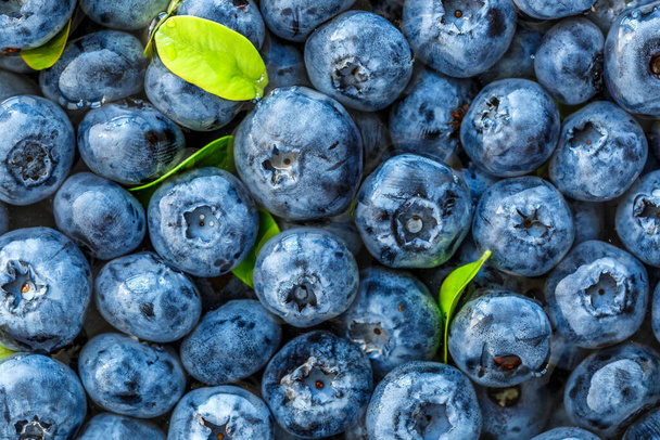 Water drops on ripe sweet blueberry. Fresh blueberries background with copy space for your text. Vegan and vegetarian concept. Macro texture of blueberry berries.Texture blueberry berries close up - 写真・画像