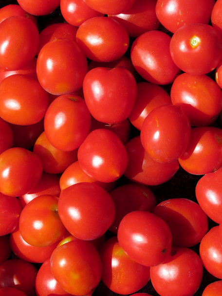 Tomatoes background - Fotoğraf, Görsel