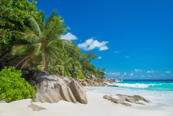 Praia tropical Anse Georgette na ilha Praslin, Seychelles
  - Foto, Imagem