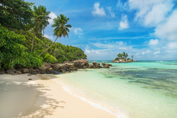 tropikalnej plaży anse royale, Seszele - Zdjęcie, obraz