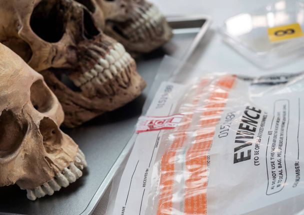 Sacchetto di prove con teschio umano nell'indagine per omicidio in laboratorio, immagine concettuale - Foto, immagini