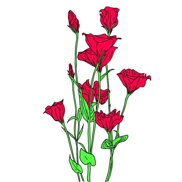  flower background - Photo, Image