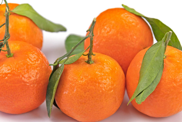 group of clementines with leaves in close-up isolated on a white background - Φωτογραφία, εικόνα