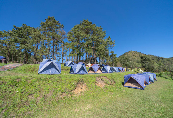 Camping área tendas na montanha com árvores no céu azul em viagem, natureza ambiente paisagem, Chiang Mai, Norte da Tailândia. Parque nacional. - Foto, Imagem