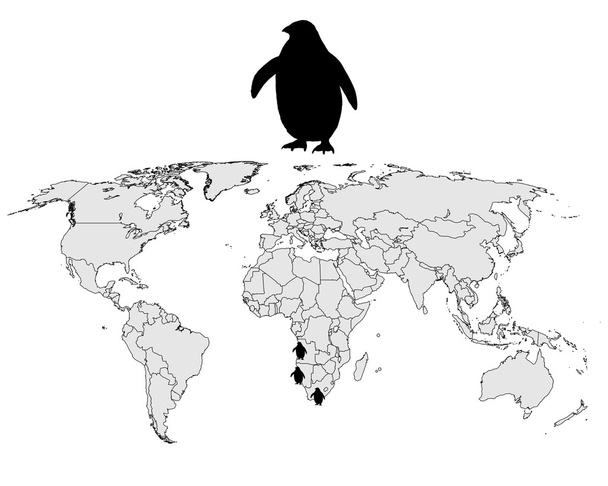 Gamma di pinguini africani
 - Vettoriali, immagini