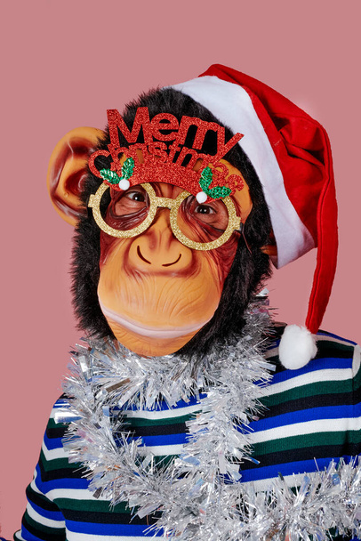 retrato de un hombre gracioso con una máscara de mono, un sombrero de santa, un par de anteojos con la frase Feliz Navidad, y una tira de oropel de plata alrededor de su cuello, sobre un fondo rosa - Foto, imagen