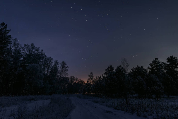 Beautiful night winter landscape with snowy forest, fir trees, snow, road and stars on dark sky - Foto, imagen