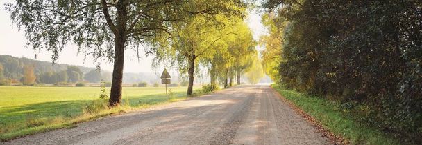Un camino de tierra vacía (callejón) a través del bosque verde y los campos en una niebla al amanecer. Luz pura de la mañana. A principios de otoño en Letonia. Temporada de otoño, temporadas, viajes, vacaciones, ecoturismo tema - Foto, Imagen