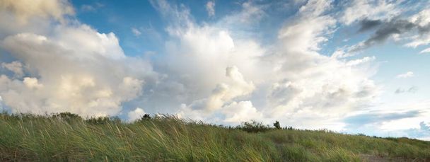 夕暮れ時の雷雨の後、バルト海の海岸の上に輝く積雲がたくさんある青い空、緑の砂丘草のクローズアップ。牧歌的な風景です。暖かい日差し。旅行先,エコツーリズム - 写真・画像