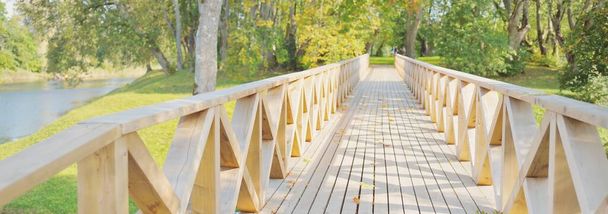 Modern wooden footpath (boardwalk) through the green deciduous forest on a clear day, colorful maple leaves close-up. Sunlight and shadows. Recreation, environment, eco tourism, vacations in Latvia - Photo, Image