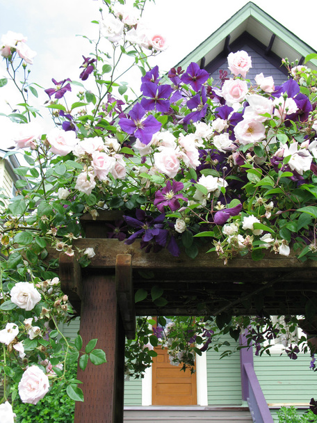Flowers in Bloom Over Yard Gate - Photo, Image