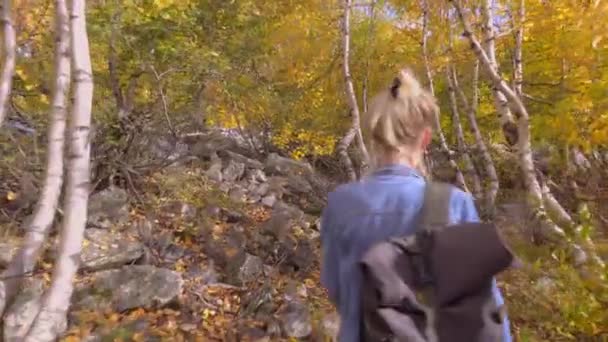 A young beautiful slender woman alone in the mountains. - Footage, Video