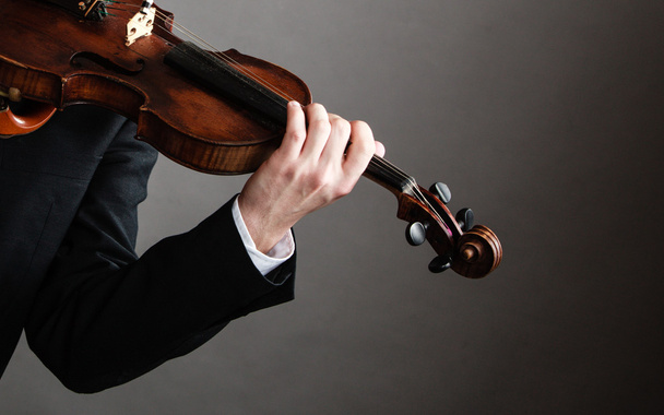 Man violinist holding violin - Zdjęcie, obraz