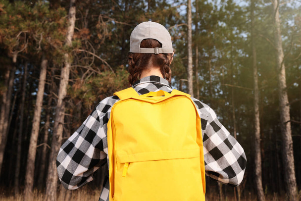 Woman with backpack walking in forest, back view - Foto, afbeelding