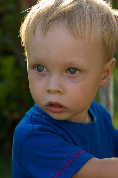 Porträt eines kleinen Jungen - Foto, Bild