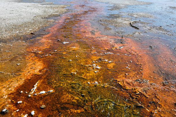 az egyik a sok festői tájak, a yellowstone nemzeti parkban, - Fotó, kép