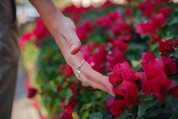 γυναίκες χέρι χαϊδεύοντας τα όμορφα μοβ λουλούδια - Φωτογραφία, εικόνα