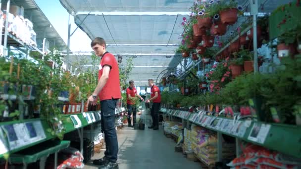 Werkzaamheden van verkoopmedewerkers in uniform in het winkelcentrum met kamerplanten - Video