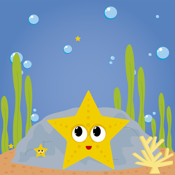 starfish - ベクター画像