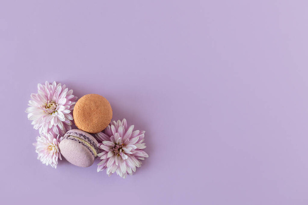 紫色のパステルカラーの背景に花とおいしいフランスのマカロン。テキストの場所. - 写真・画像