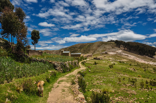 prachtige landschap van isla del sol, bolivia - Foto, afbeelding