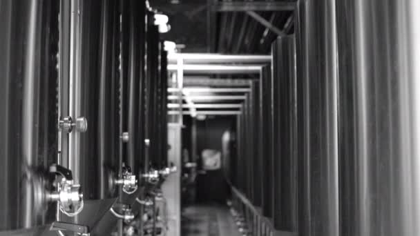 Een privé-brouwerij. Moderne bierfabriek met brouwketels, -buizen en -tanks van roestvrij staal - Video