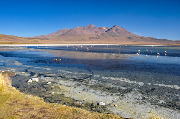 Splendidi paesaggi di Sur Lipez, Bolivia meridionale
 - Foto, immagini