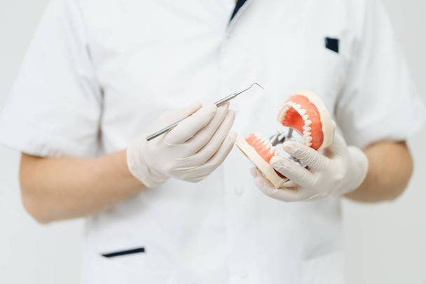 Zubař ukazuje na omítku odlitou na bílém pozadí. Vysvětlení péče o zuby - Fotografie, Obrázek